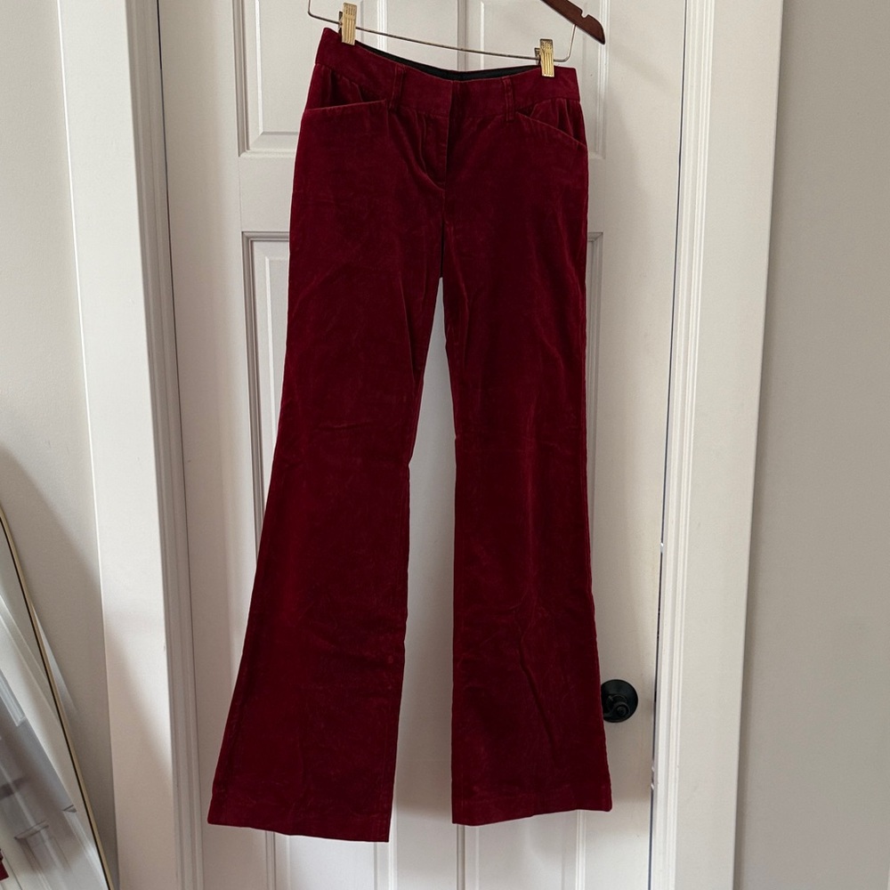 Express Red Velvet Boot Cut Pants